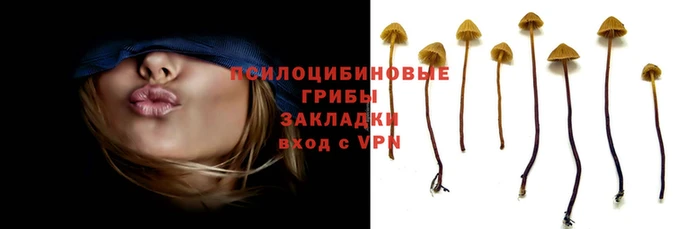 ГАЛЛЮЦИНОГЕННЫЕ ГРИБЫ Алзамай