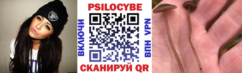 Галлюциногенные грибы MAGIC MUSHROOMS kraken как войти Кыштым наркошоп