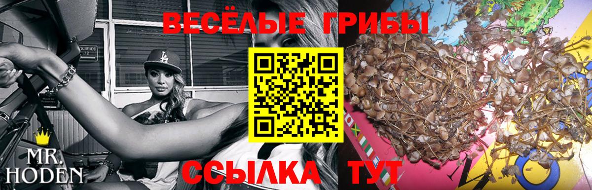 Кыштым  Галлюциногенные грибы прущие грибы  Вход с VPN 