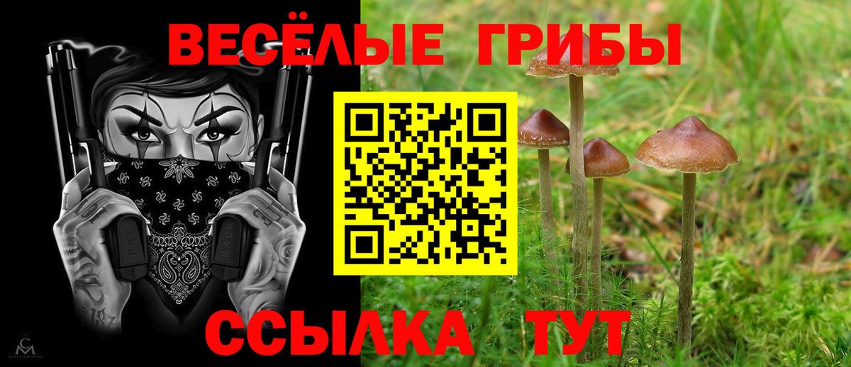 Псилоцибиновые грибы Magic Shrooms Кыштым
