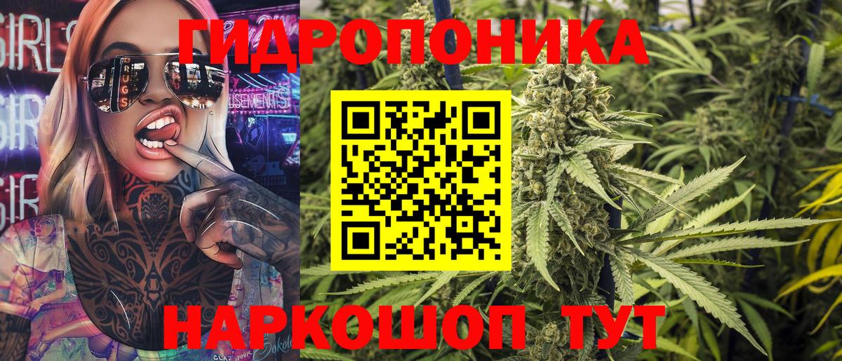 Бошки марихуана AK-47 Кыштым